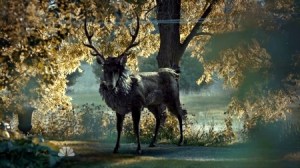 Hannibal_Stag_zps46309a7c